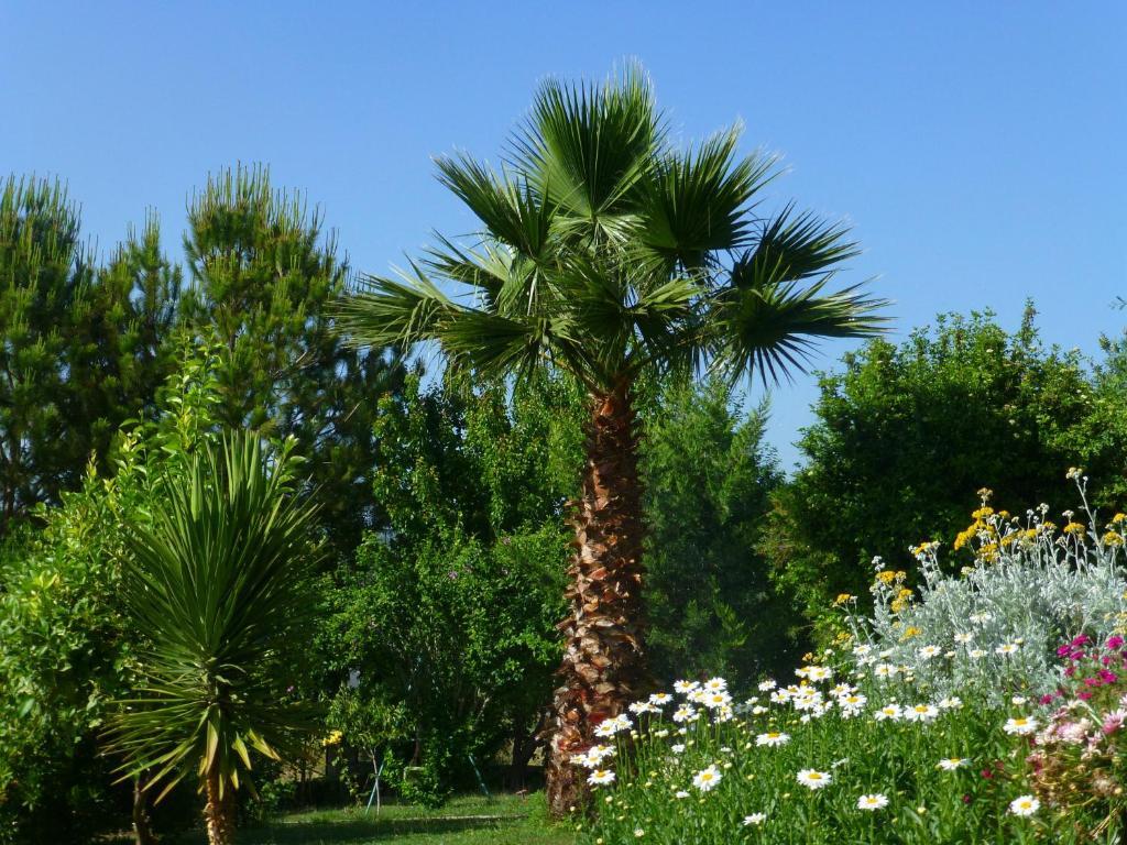 Doger Koyu Mountain Lodge Hotel מראה חיצוני תמונה